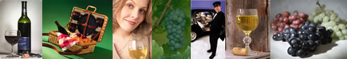 Long Island Limo Winery Tours